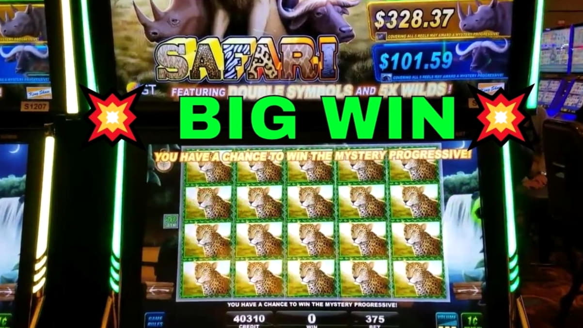 295% kazino rungtynių premija LSbet kazino